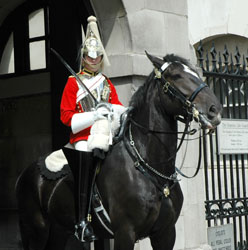 Life Guards