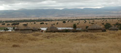 Maasai Huts