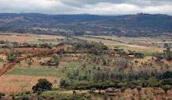 Tanzanian Scenery
