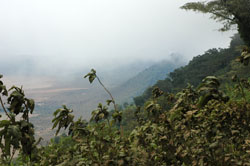 Ngorongoro Crater