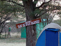 Serengeti campsite
