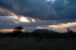 Serengeti sunset