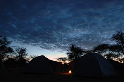 Serengeti