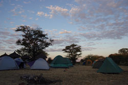 Serengeti
