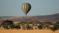 Hot air baloon over Serengeti